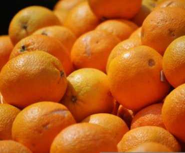 Orange Varieties Cultivated in Colombia: Characteristics and Harvest Seasons