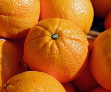 How to Import Fresh Oranges from Colombia: Process, Documents, and Phytosanitary Requirements