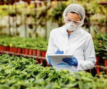 Export Certifications for Colombian Fresh Fruits: GlobalGAP, GAP, and Traceability