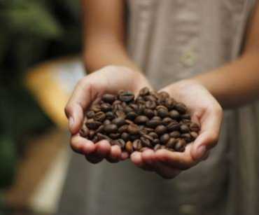 How to Import Roasted Coffee from Colombia