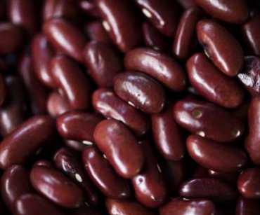 Export staple foods to the USA from Colombia