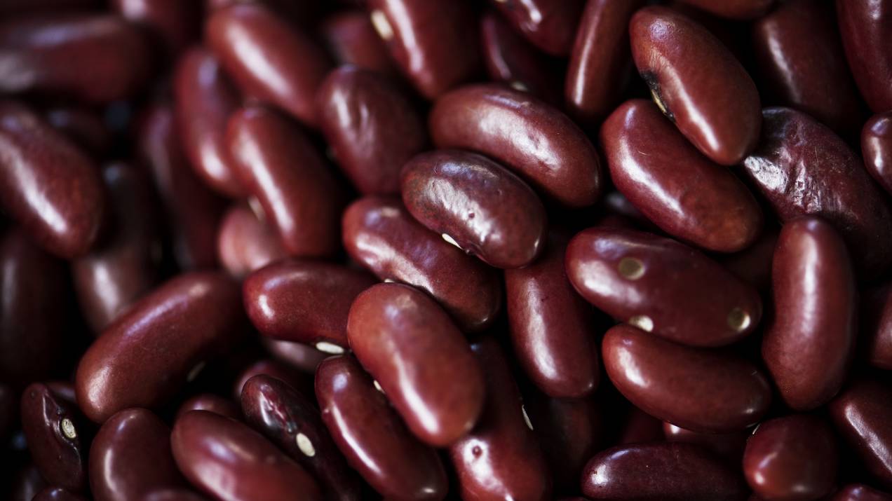 Export staple foods to the USA from Colombia 