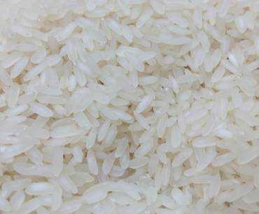 What Does a Commercial Food Exporter Do and How Do They Work with Importers?