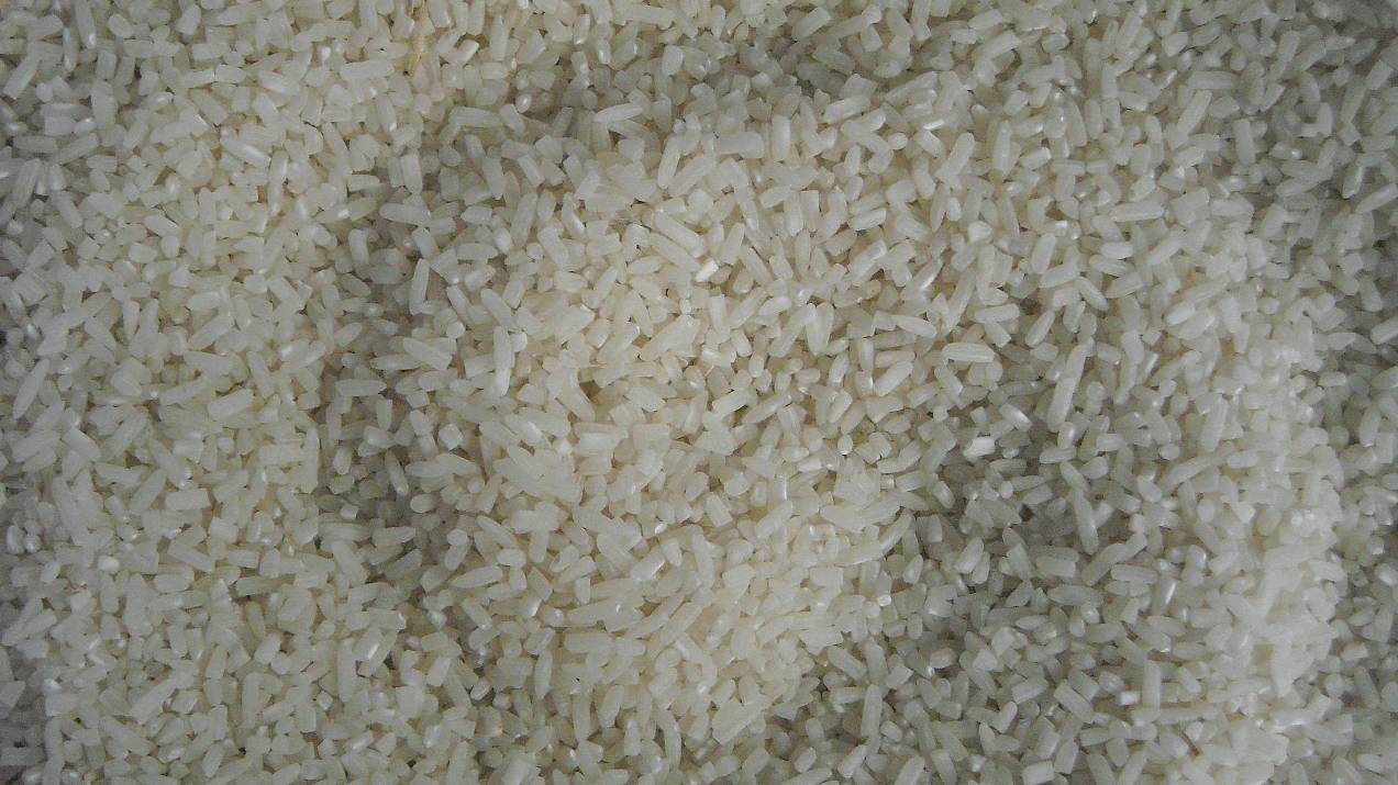Bean, Rice, and Sugar Exporter from Colombia: What Importers Need to Know 