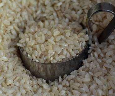 Hidden costs in importing basic foods and how to anticipate them