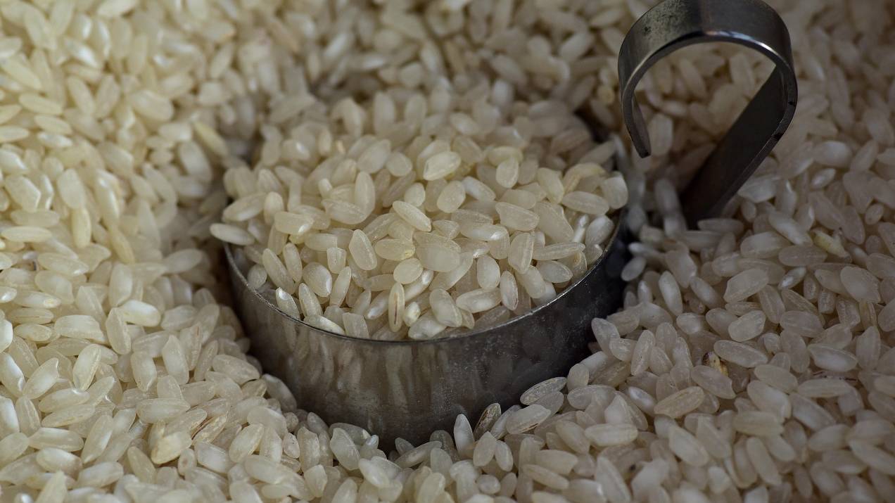 Hidden costs in importing basic foods and how to anticipate them 