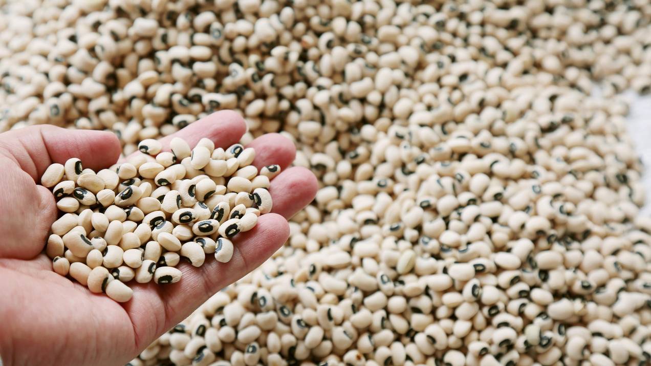 Exporting Staple Foods: Most Common Business Models 