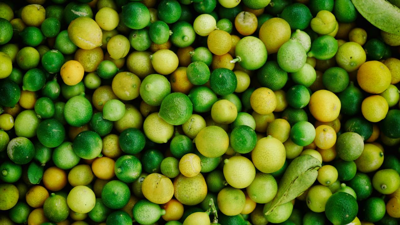 Empresas expertas en exportación marítima de frutas frescas desde Colombia 