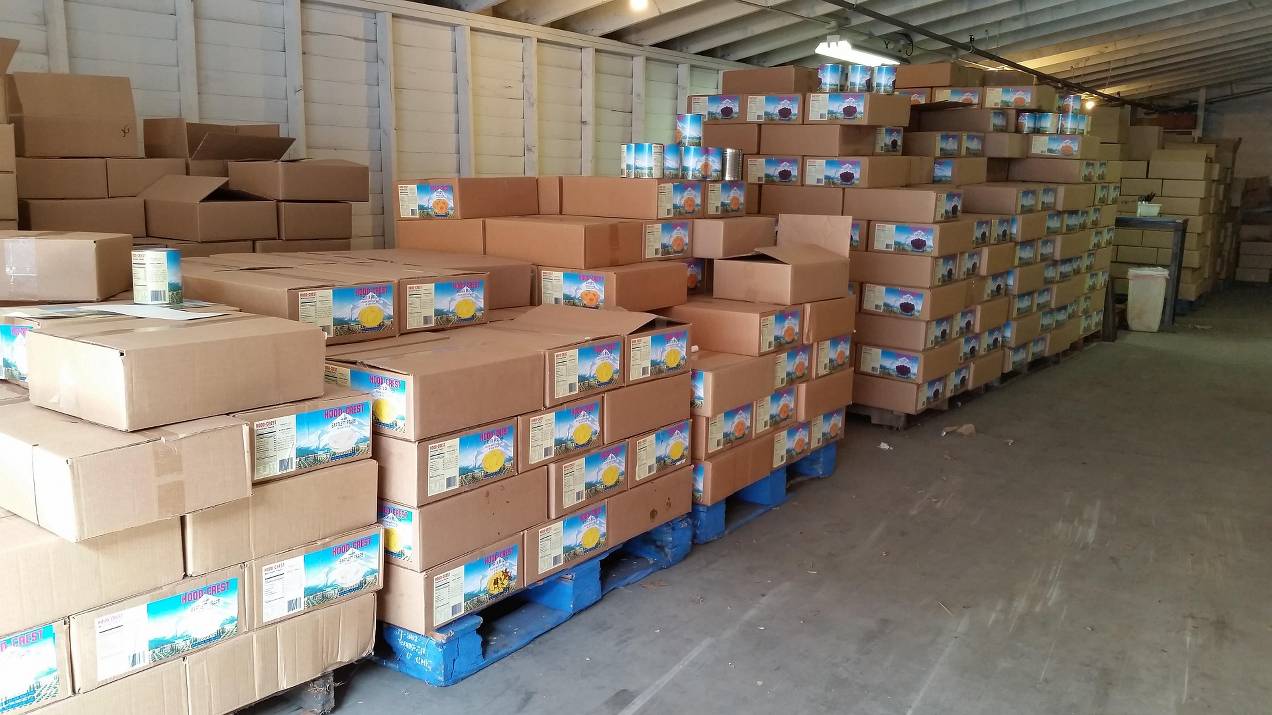 ¿Cuáles son los seguros más recomendados para exportación marítima de alimentos? 