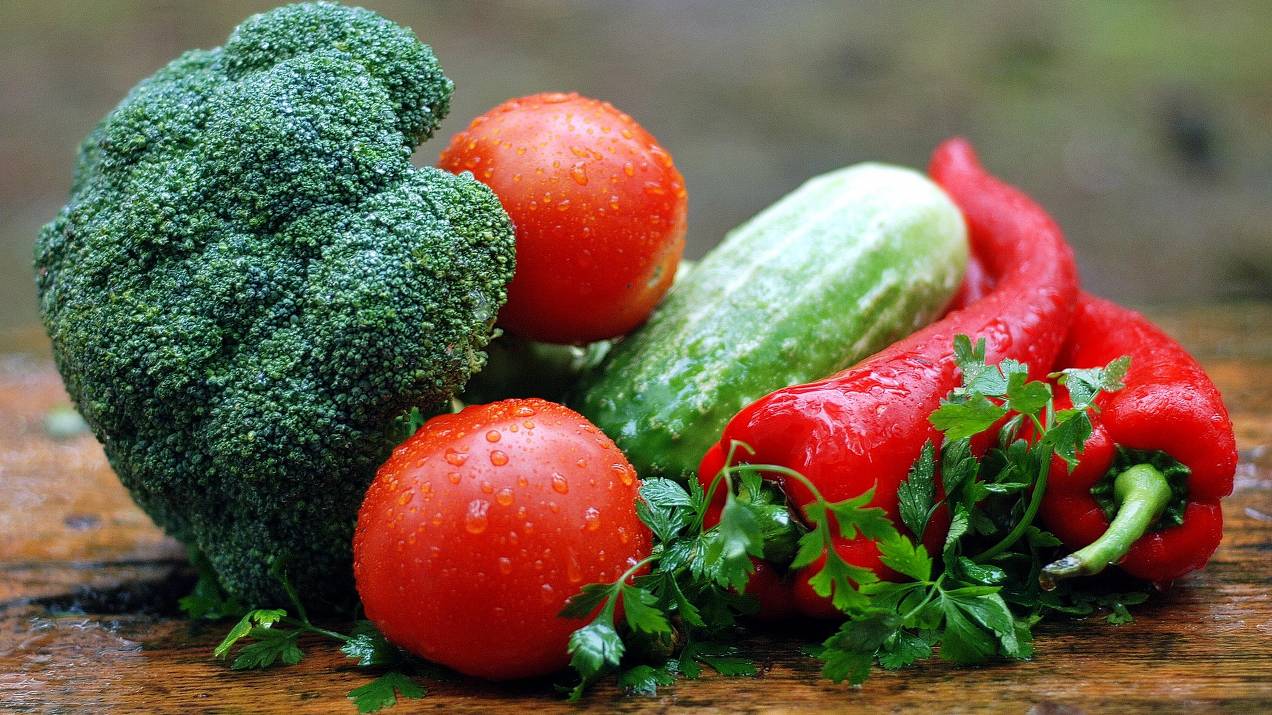 Importación de alimentos a Colombia: requisitos sanitarios y logísticos 
