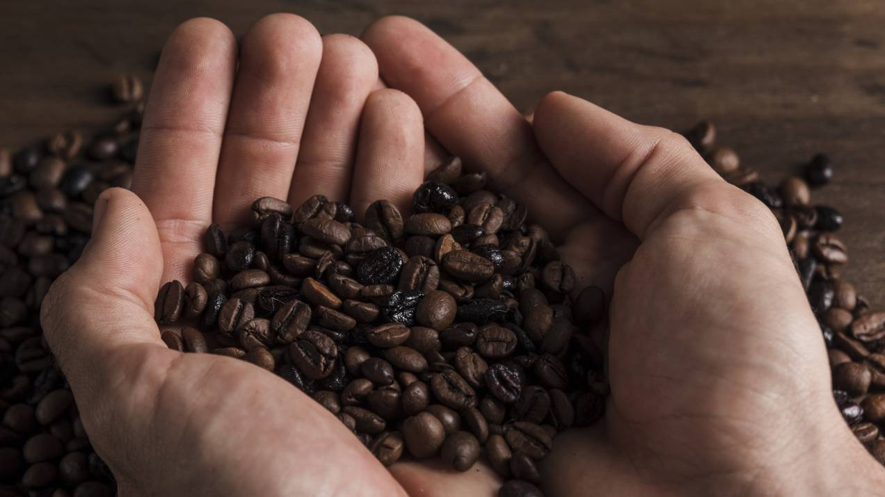Exportadores de café colombiano para distribuidores en España 