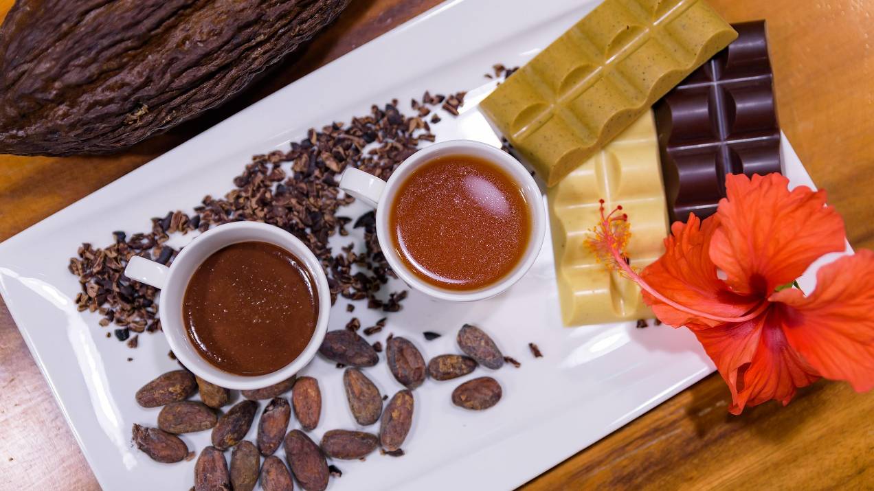 Exportación de cacao colombiano a España: oportunidades para distribuidores 