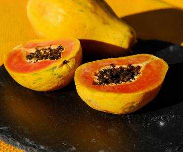 Mayoristas de frutas tropicales colombianas para hoteles y restaurantes en EE. UU.