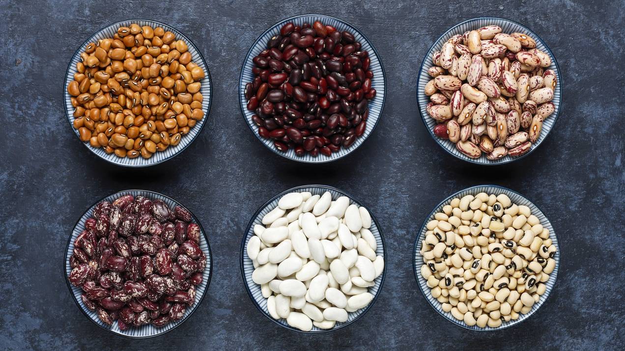 Exportar frijol a USA desde Colombia para supermercados 