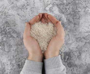 Exportar alimentos a Florida desde Colombia