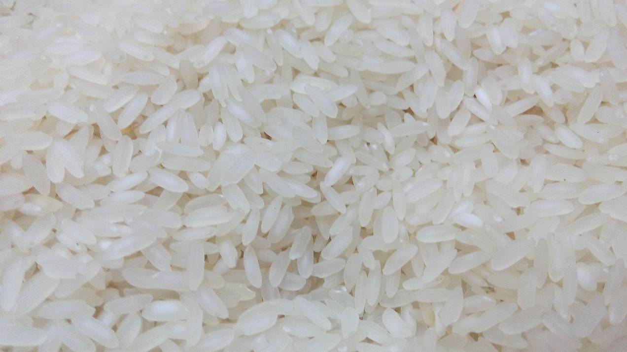 ¿Qué hace un exportador comercial de alimentos y cómo trabaja con importadores? 