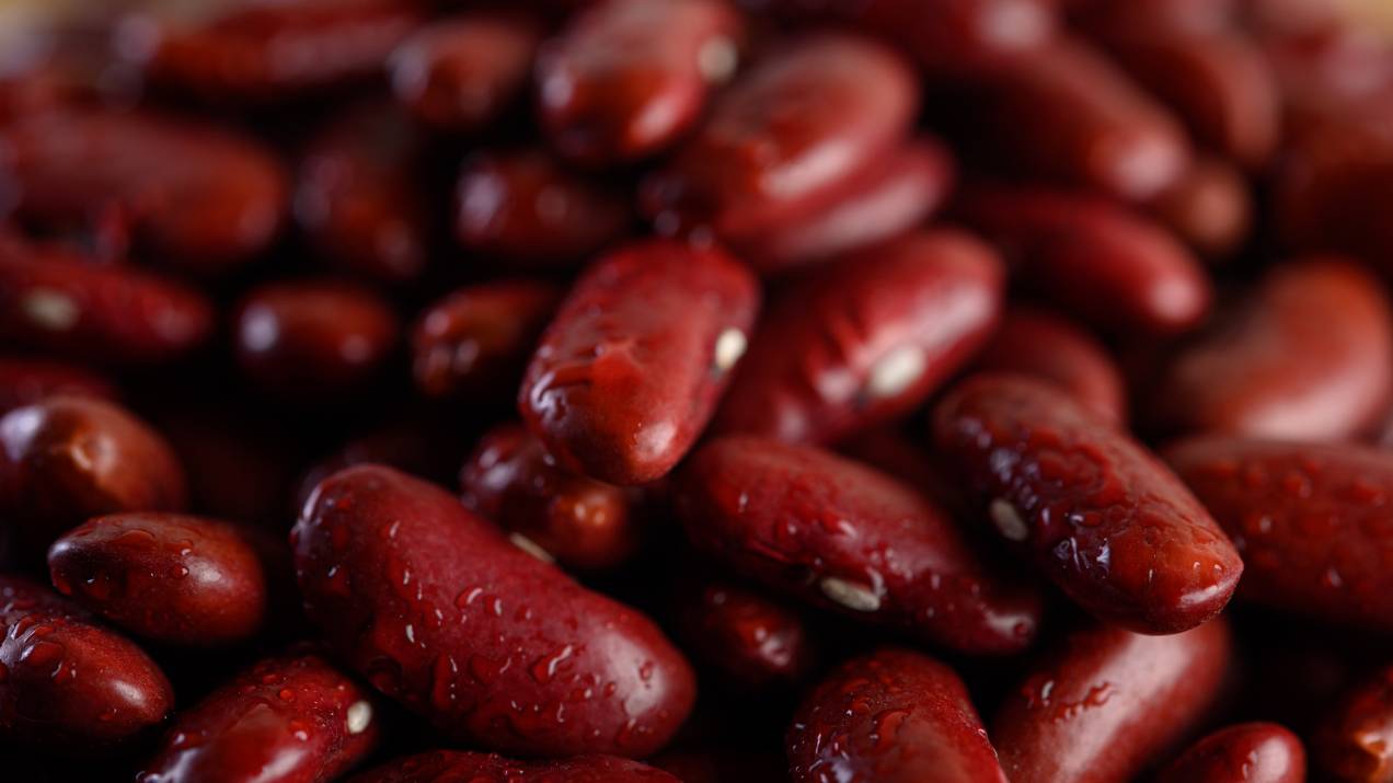 Diferencia entre productor, trader y exportador de alimentos 