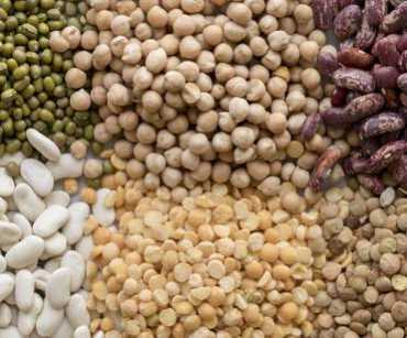 Errores comunes al importar alimentos básicos desde América Latina