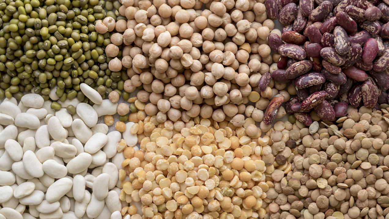 Errores comunes al importar alimentos básicos desde América Latina 