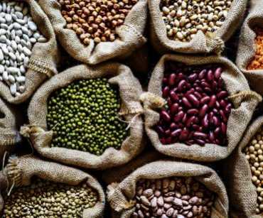 Exportar frijol desde Colombia: variedades, presentación y mercados