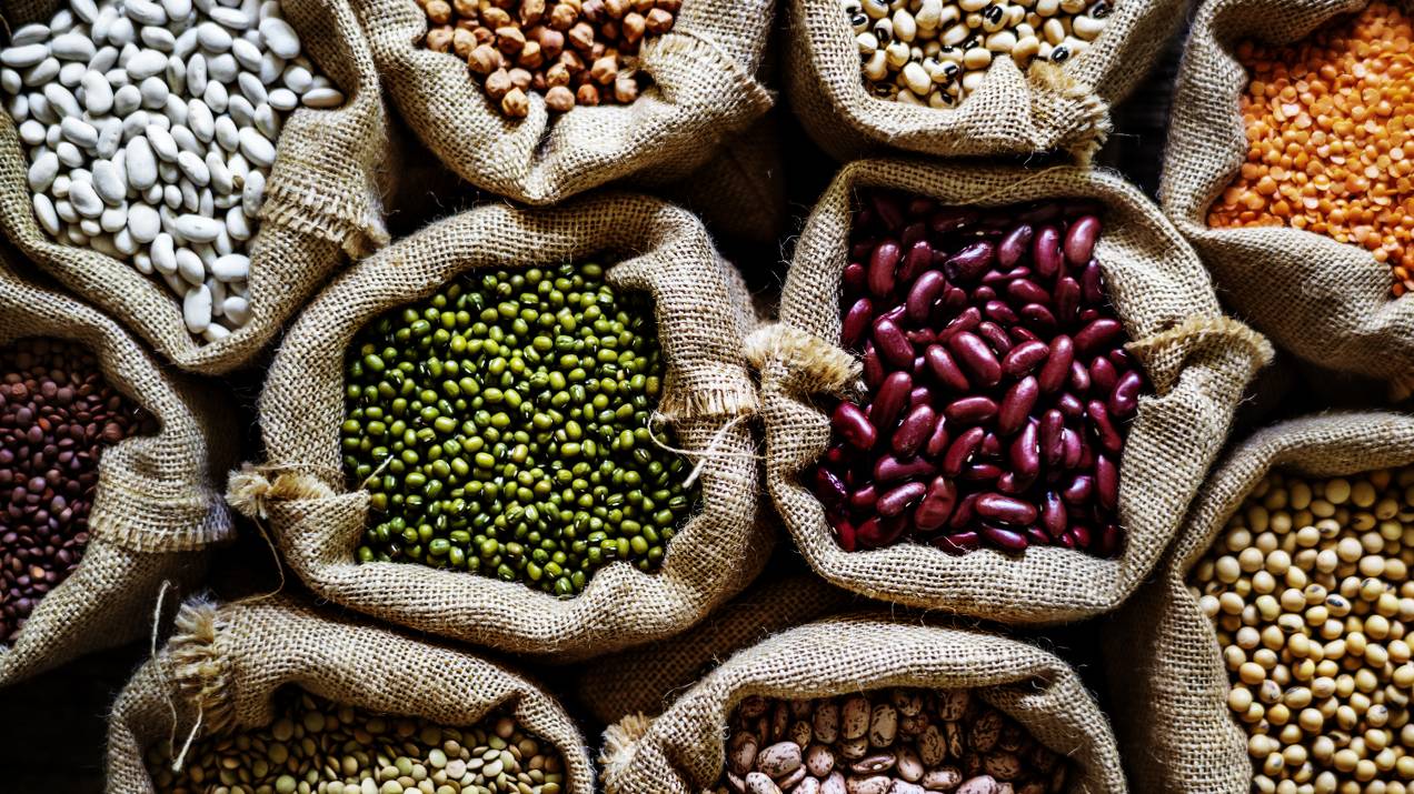 Exportar frijol desde Colombia: variedades, presentación y mercados 