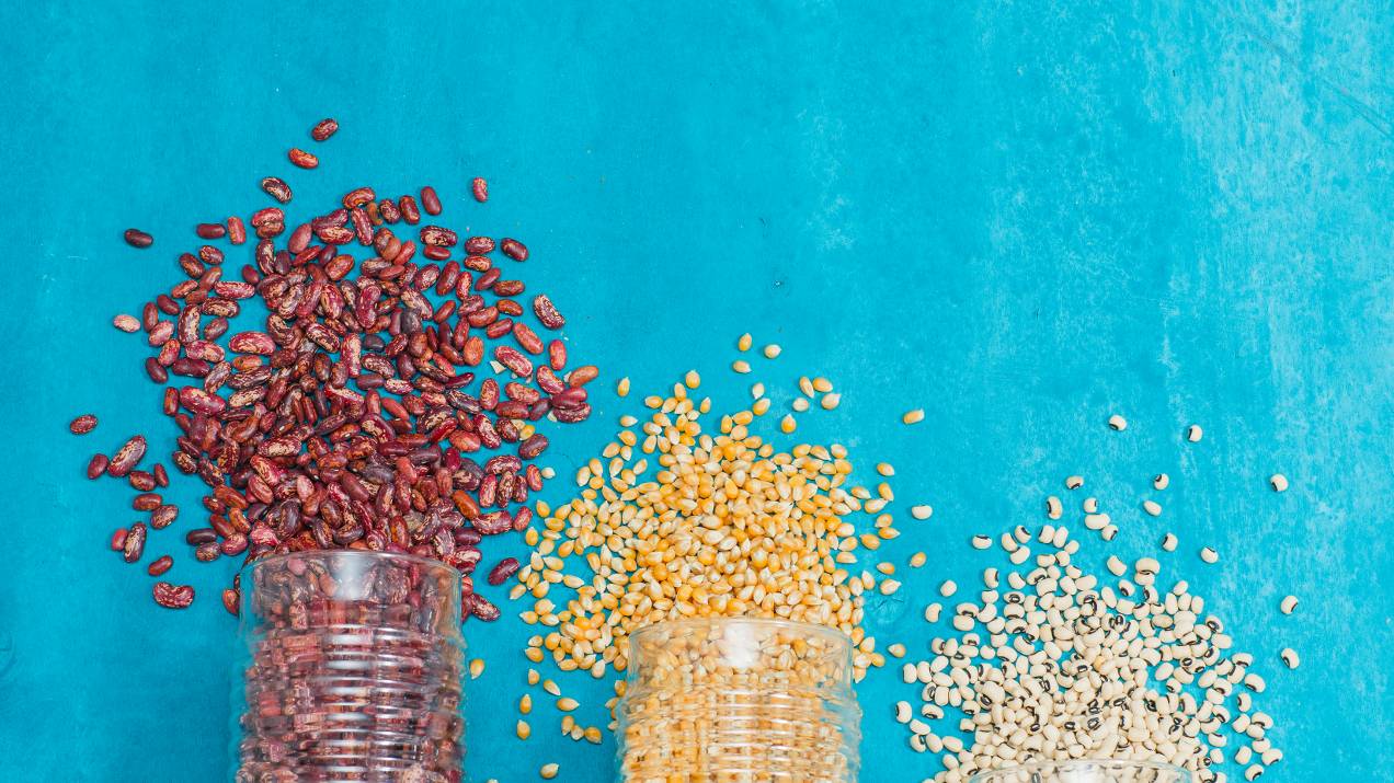 Tiempos de tránsito en exportación marítima de alimentos desde Colombia 