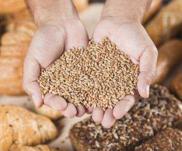 ¿Cómo preparar un pedido internacional de alimentos básicos paso a paso?