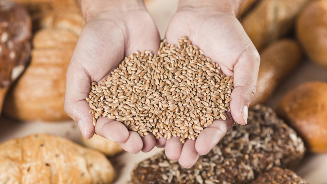 ¿Cómo preparar un pedido internacional de alimentos básicos paso a paso? 