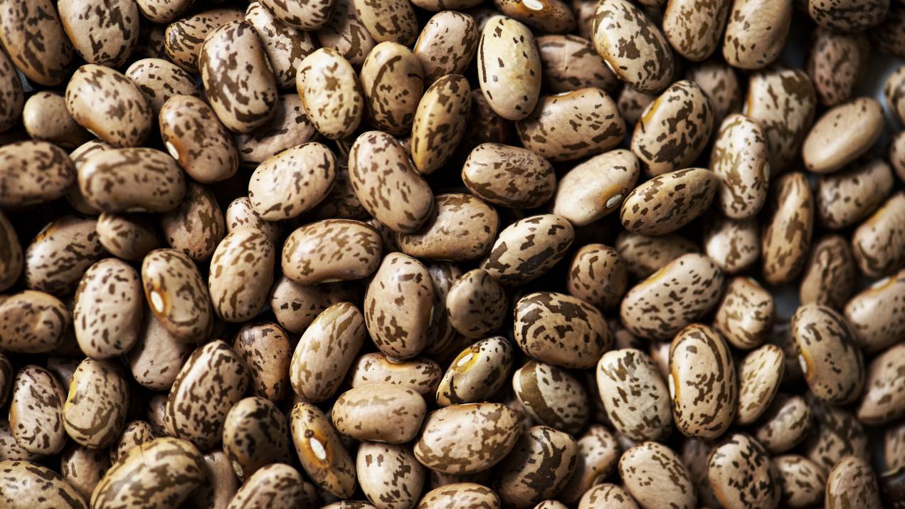 Preguntas clave que hace un exportador antes de vender alimentos 