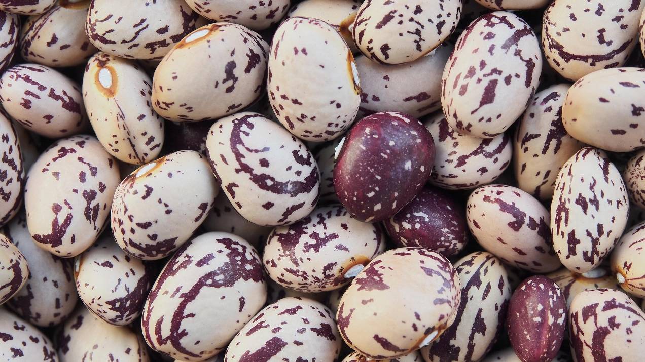 ¿Cómo construir una relación comercial estable con un exportador de alimentos? 