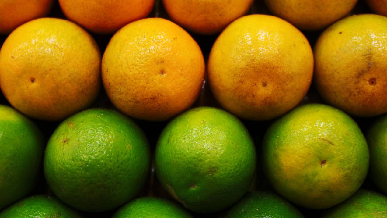 Colombia como exportador de frutas frescas: ventajas competitivas y posición en el mercado global 