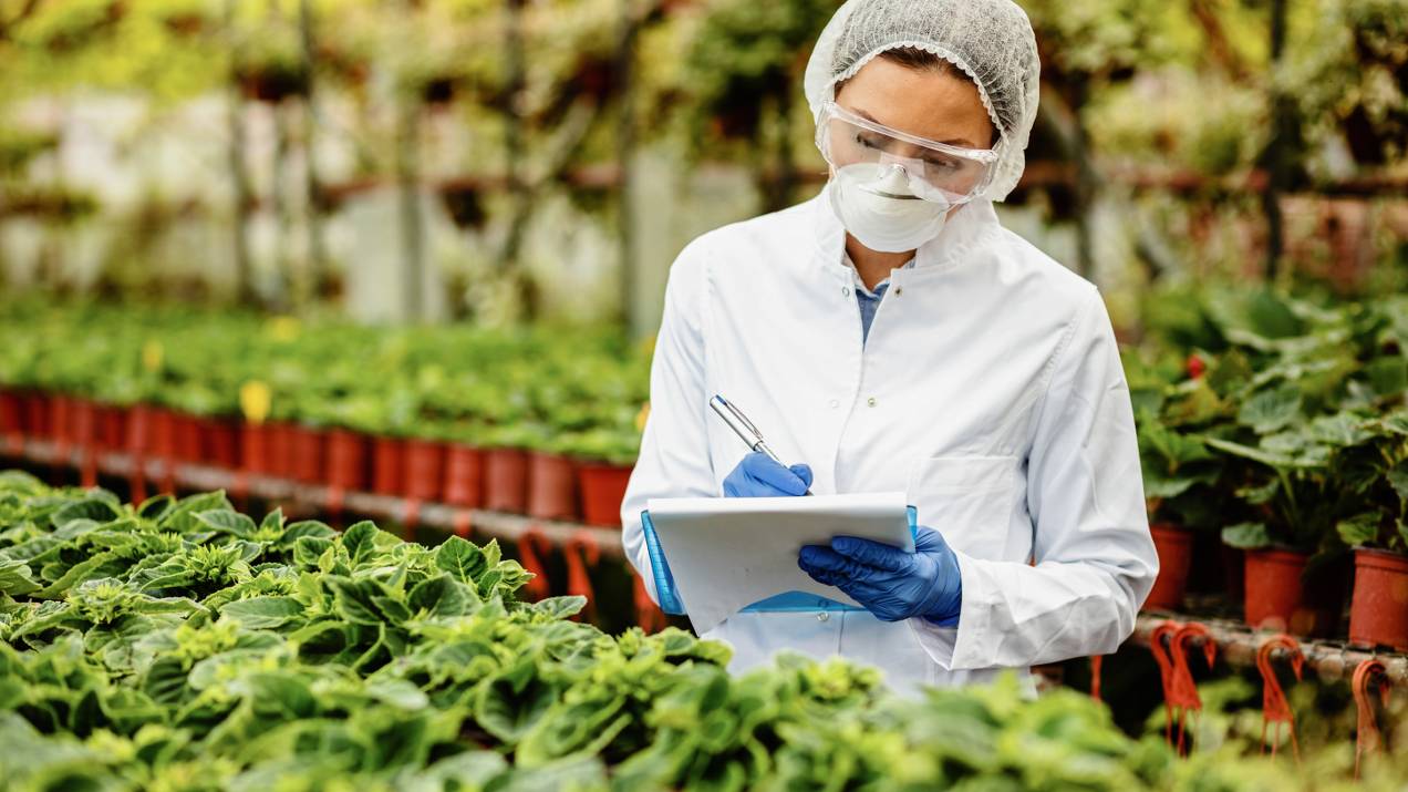 Certificaciones de exportación de frutas frescas colombianas: GlobalGAP, BPA y trazabilidad 