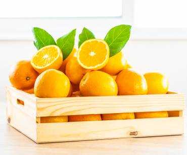 Requisitos fitosanitarios para importar naranjas frescas: ICA, USDA, EFSA y normas internacionales