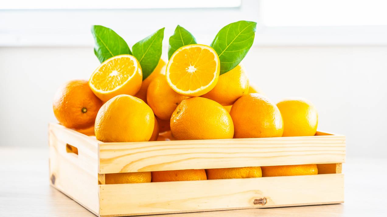 Requisitos fitosanitarios para importar naranjas frescas: ICA, USDA, EFSA y normas internacionales 