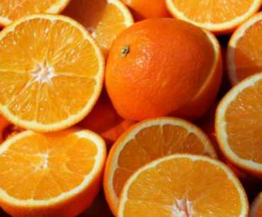Estándares de calidad y calibres de naranja fresca para exportación: especificaciones internacionales