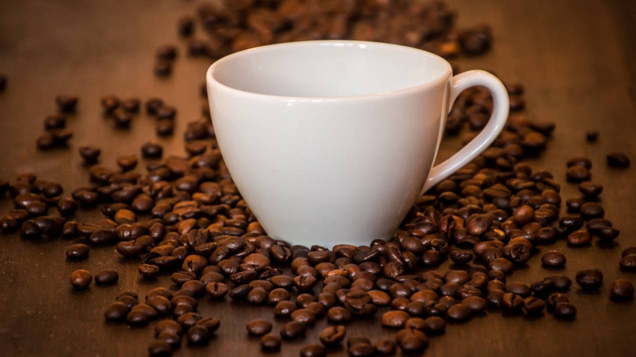 Café Colombiano Tostado al por Mayor: Guía para Compradores 