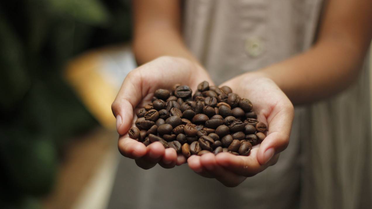 ¿Cómo Importar Café Tostado desde Colombia? 