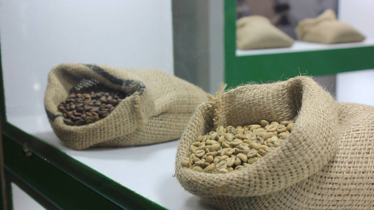 ¿Cuántos Sacos de Café Caben en un Contenedor? 