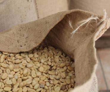 Exportación de Café por Buenaventura: Guía para Compradores