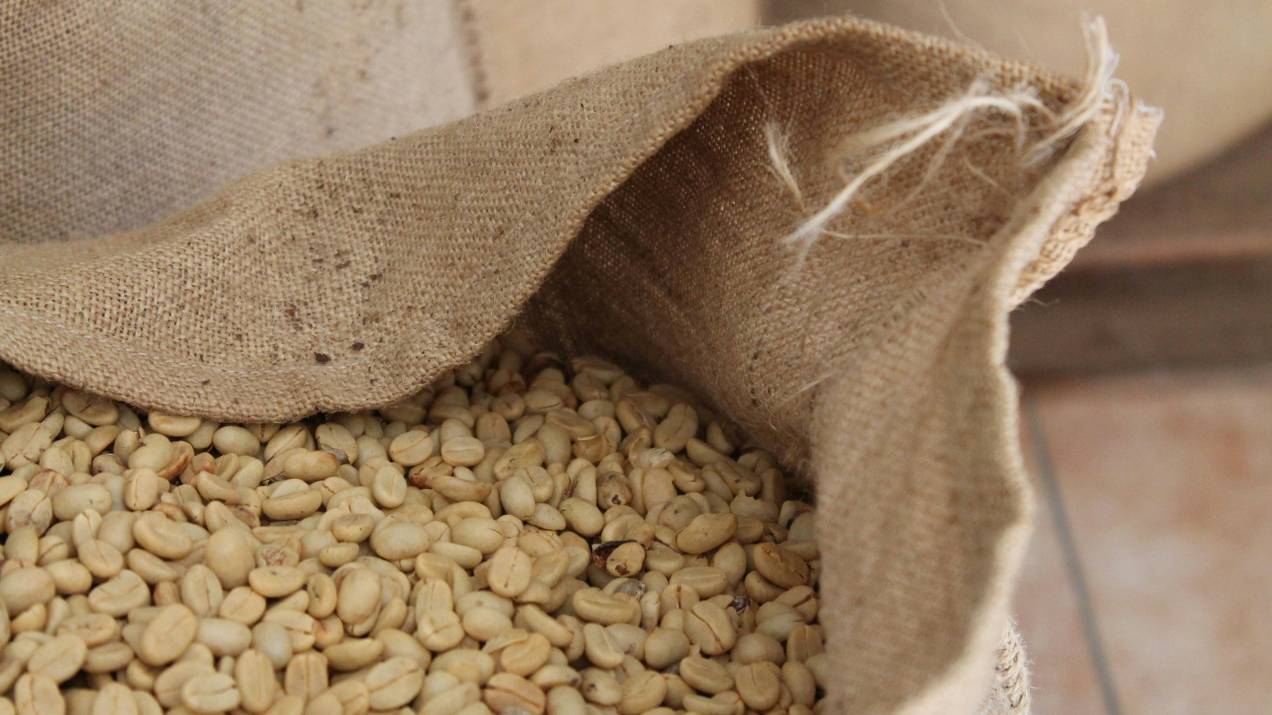 Exportación de Café por Buenaventura: Guía para Compradores 
