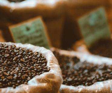 FOB vs. CIF para Café Colombiano: ¿Cuál Conviene al Importador?