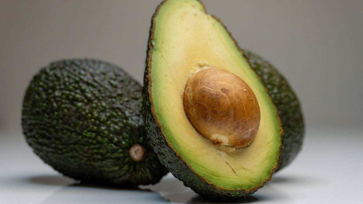 Cadena logística del aguacate colombiano: del campo al puerto 