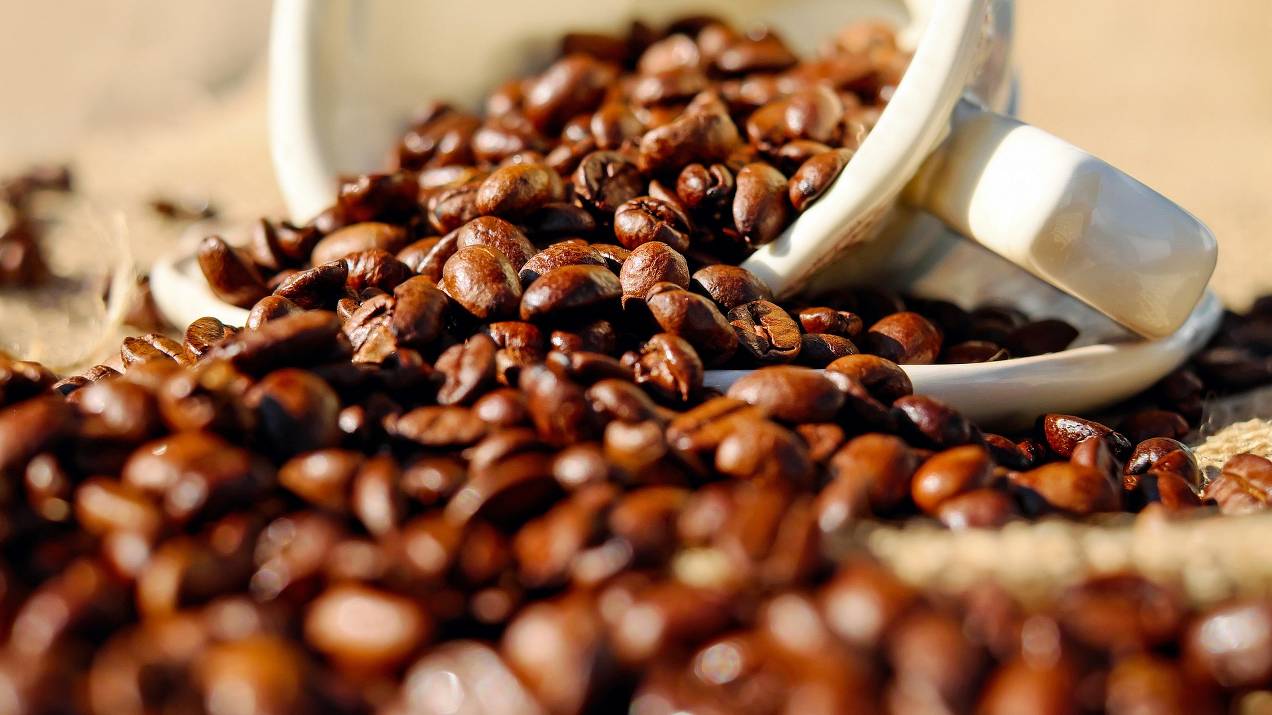 ¿Cómo exportar café a Europa? | Guía logística paso a paso 