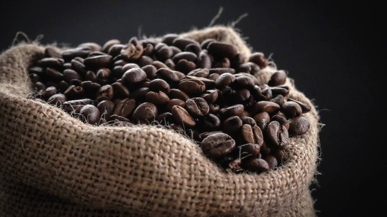 ¿Cómo seleccionar puertos para exportación de café? 