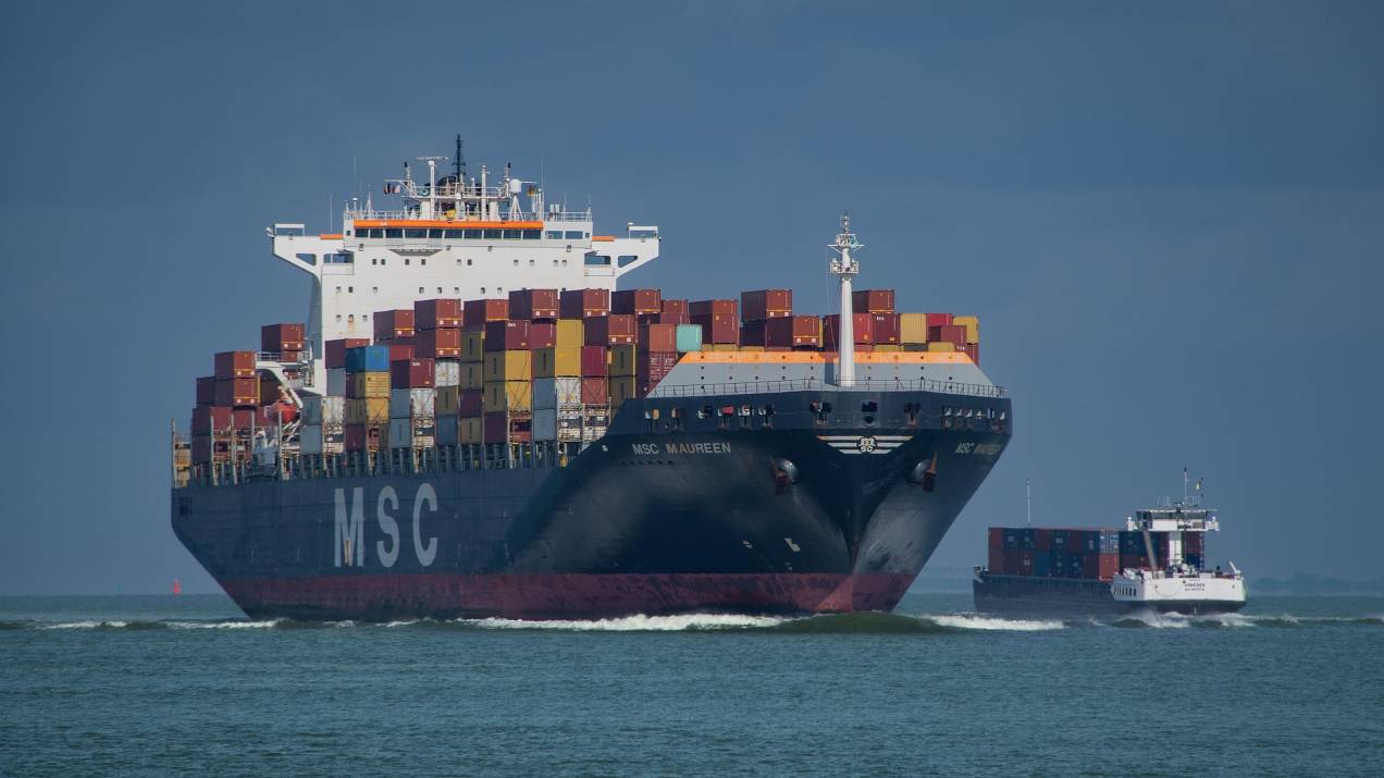 Mejores navieras para transporte de alimentos refrigerados desde Colombia 