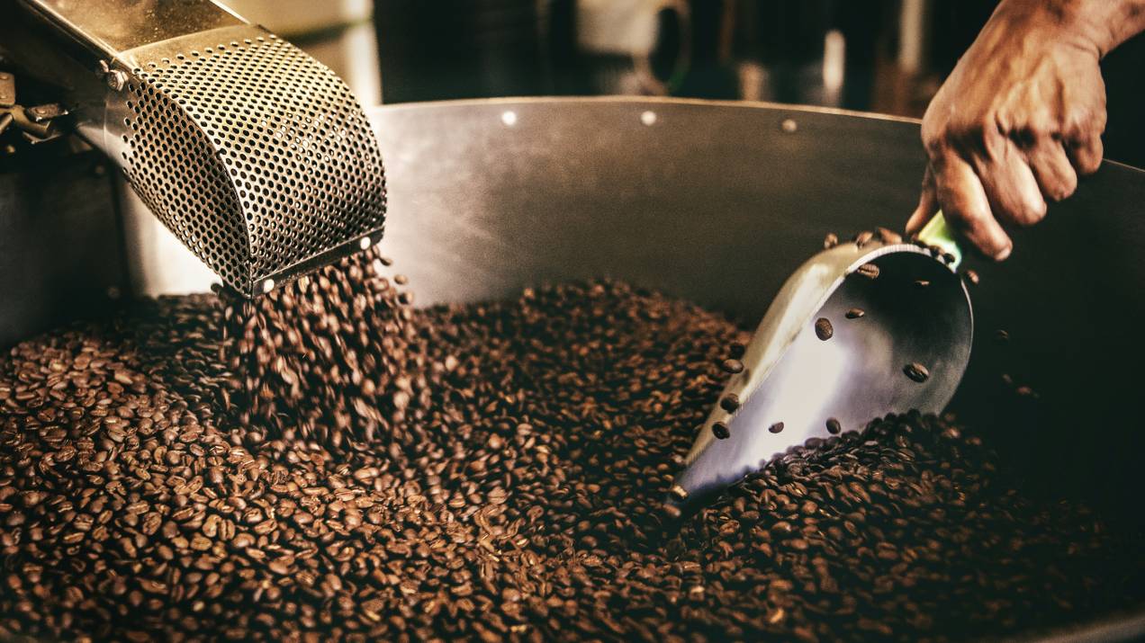 ¿Cómo resolver problemas comunes en exportación de café? 