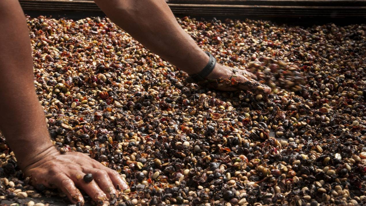 ¿Cómo desglosar costos por kilo en logística internacional de alimentos? 