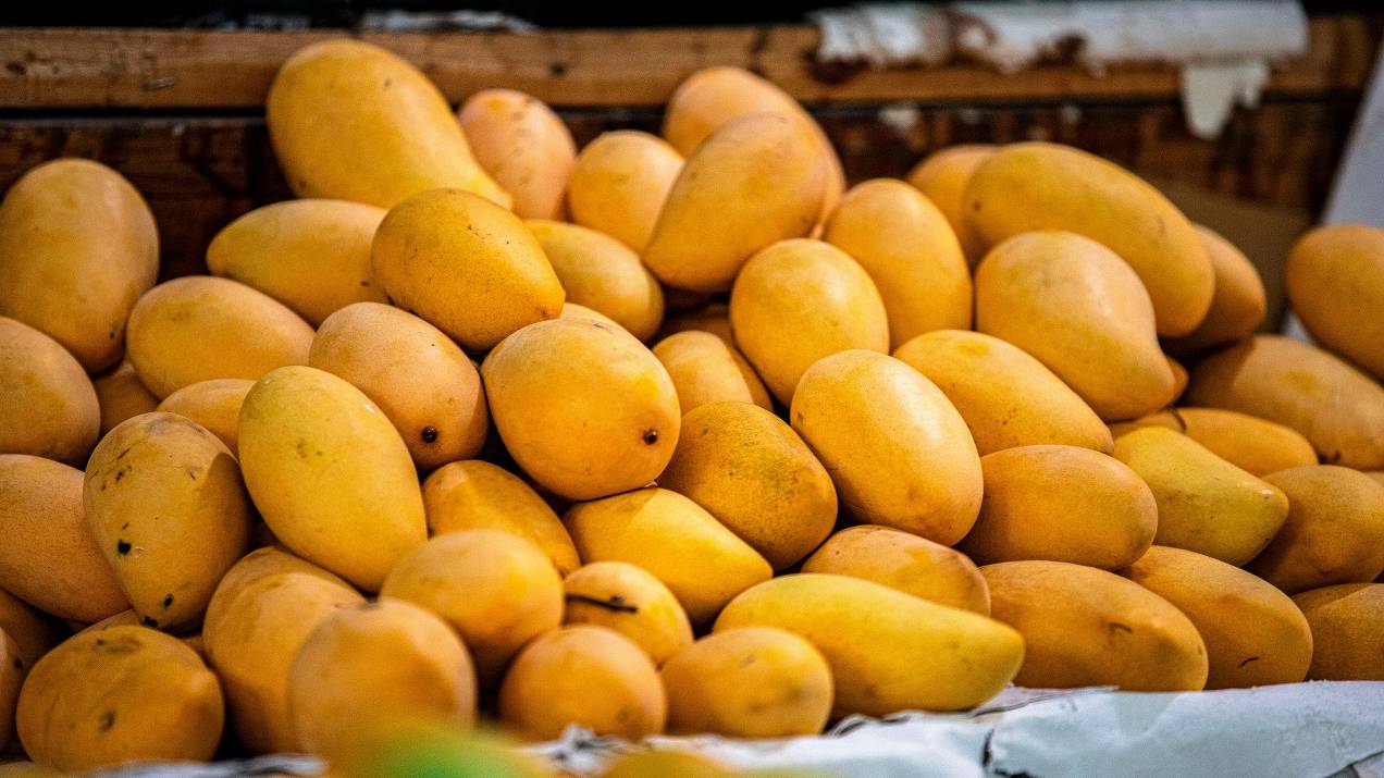 Mejores prácticas para exportar frutas frescas por vía marítima 